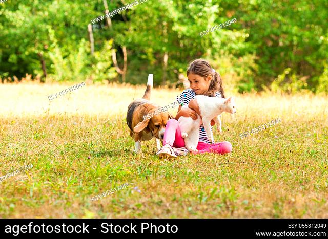 Pretty girl sitting outdoors on a grass pretending herself introducing beautiful fluffy cat to a breed dog