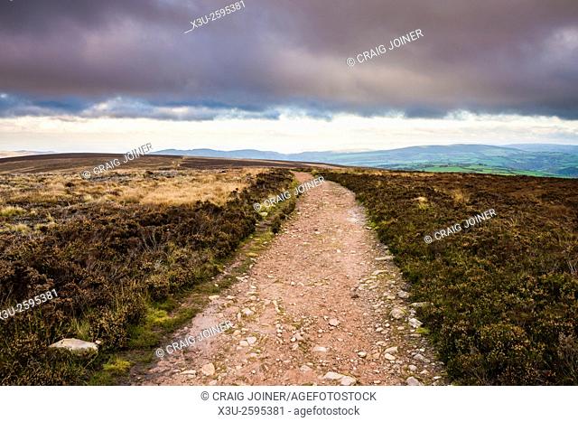 Bridleway and footpath on Dunkery Hill leading to Dunkery Beacon in Exmoor National Park, Somerset, England