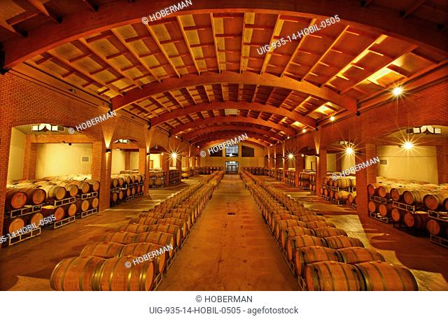 Wine Barrels, Santa Helena Vineyards, Chile