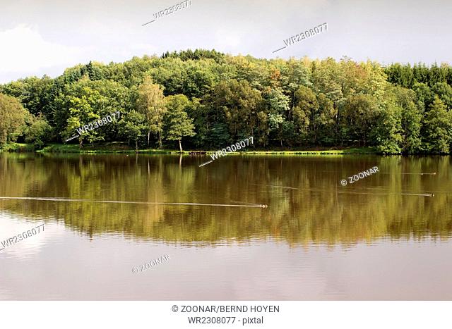 Forest Mirror. Germany