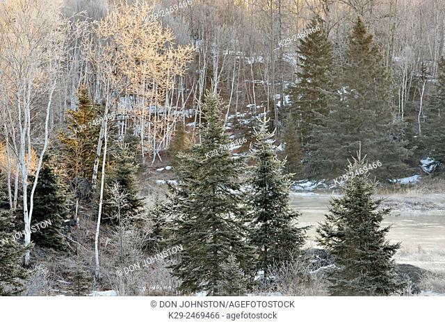 Spring frost along Junction Creek at dawn, Greater Sudbury, Ontario, Canada