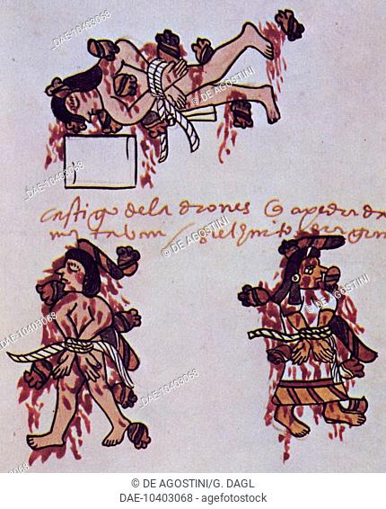 Aztec human sacrifice, illustration from a replica of Codex Tudela, 1533. Central America, 16th century.  Madrid, Museo De America (Archaeological And Art...