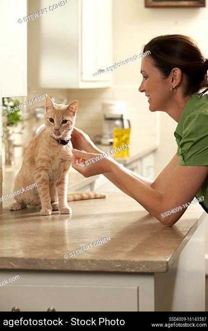 Middle Aged caucasian woman giving her cat a treat in the Kitchen, cat sitting on counter licking lips looking off camera while being pet by smiling woman