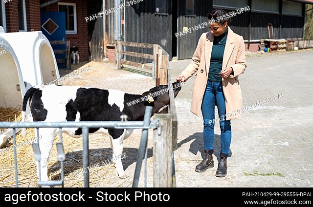 24 April 2021, Lower Saxony, Bockum: Leonie Laryea, employee at the SOS farm in Bockum, strokes a calf. When student Leonie Laryea starts her weekend service at...