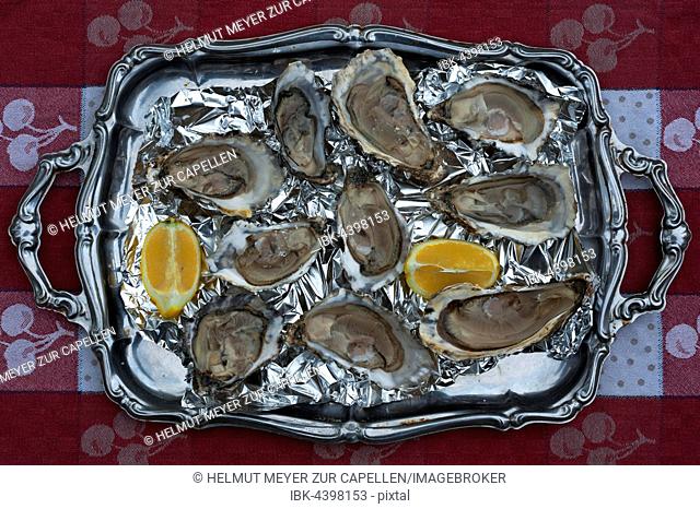 Fresh oysters (Ostreidae) on a tray with lemon, Vandée, Atlantic coast, France