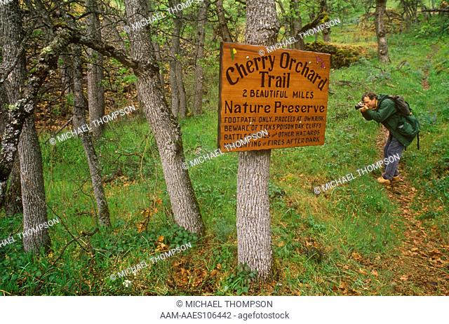 Photographer on Cherry Orchard Trail, Columbia River Gorge NSA, WA