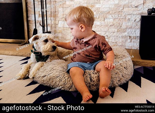 Toddler boy stroking dog while sitting on pet bed at home