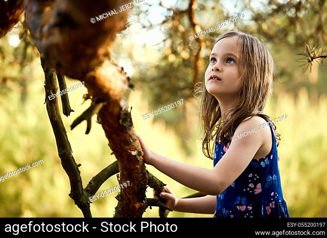 two adorable girls in summer dresses are climbing a tree in the forest