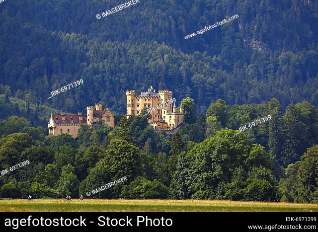 Hohenschwangau Castle, Schwangau, Königswinkel, romantic road, East Allgäu, Allgäu, Swabia, Bavaria, Germany, Europe