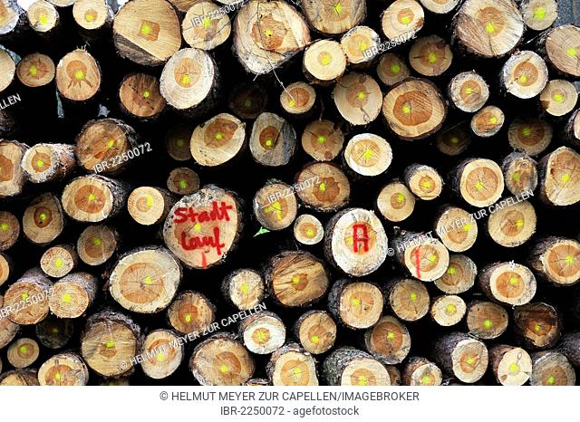 Stacked and marked spruce logs, Simonshofen, Middle Franconia, Bavaria, Germany, Europe