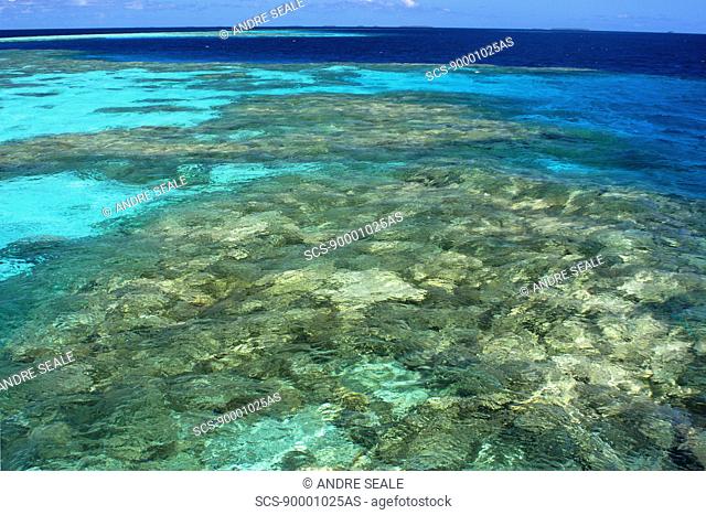 Coral reef, Namu atoll, Marshall Islands N Pacific