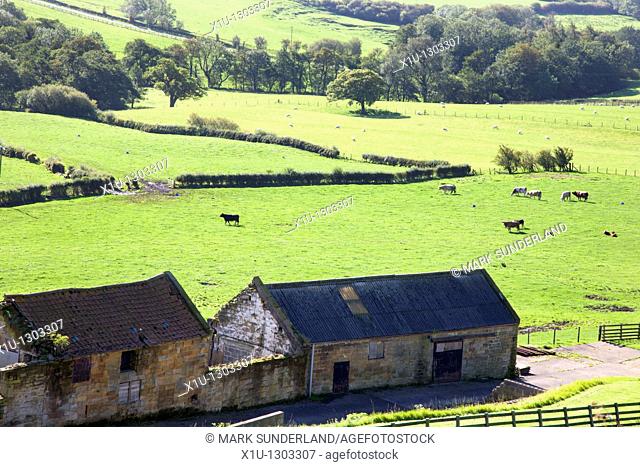 Glaisdale from above Rock Head Farm North Yorkshire England