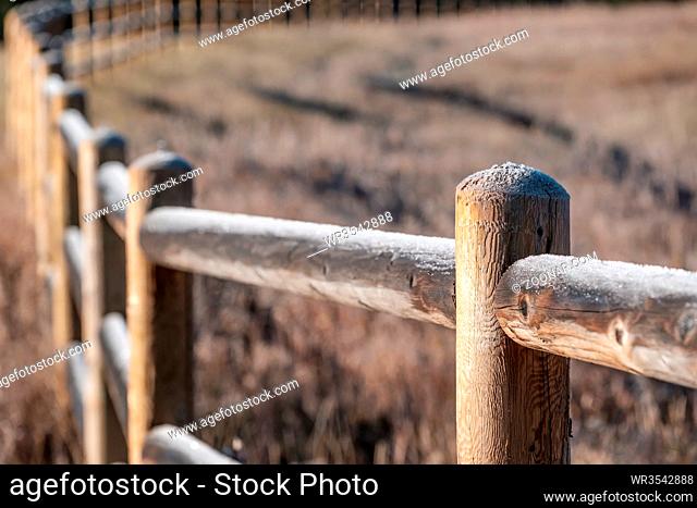 Season changing, hoarfrost on the fence