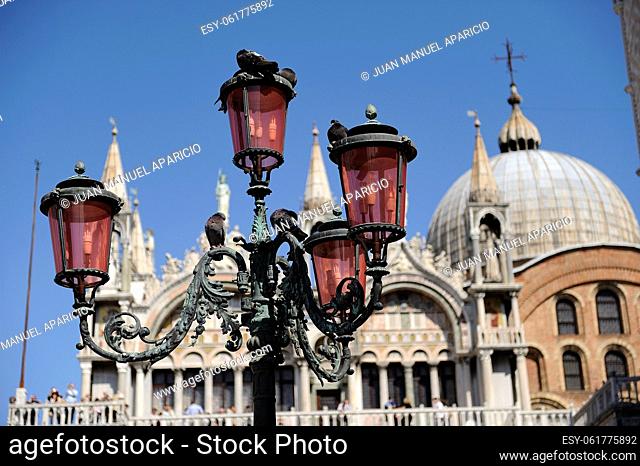 Pigeons on a lamppost in St Mark's Square with the Cathedral in the background