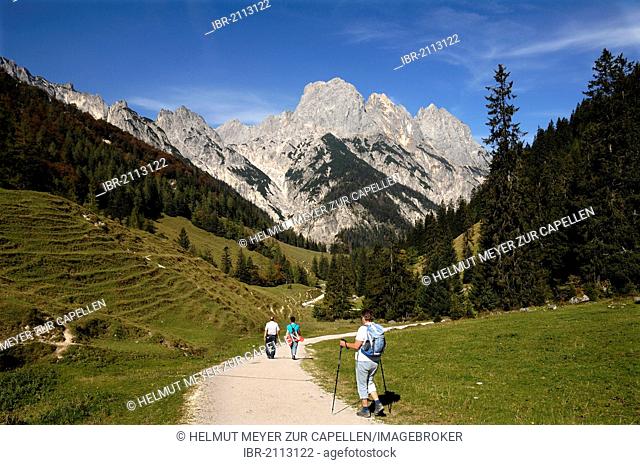 View from Bindalm, mountain pasture, to Muehlsturzhoerner mountains, Hintersee near Ramsau, Upper Bavaria, Bavaria, Germany, Europe