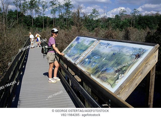 Boardwalk with interpretive board, Six Mile Cypress Slough Preserve, Florida