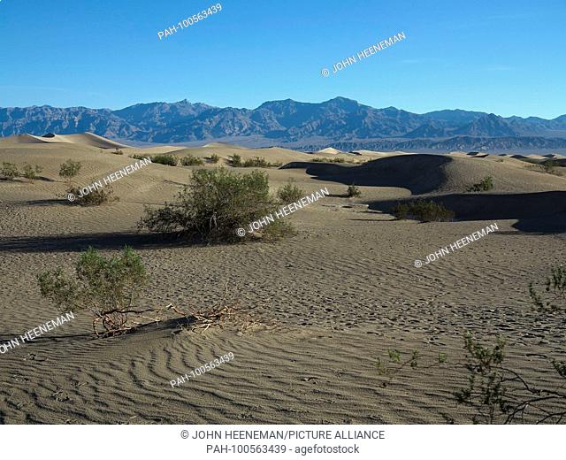 Mesquite Flat Sand Dunes, Death Valley National Park, California, The sand dunes of Death Valley National Park are excellent places for nature study and...