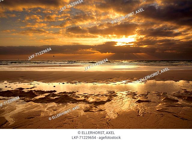 beach, sunrise, volcanic landscape, Corralejo, La Oliva, Fuerteventura, Spain, Europe