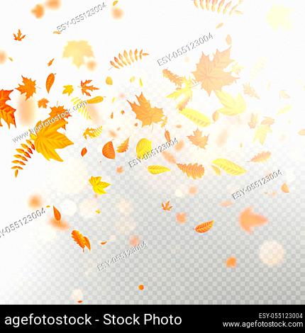 Effect of autumn falling leaves layer with shallow DOF blur. Autumnal foliage fall template. Warm color. EPS 10 vector file