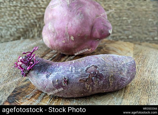 Süßkartoffel / Batate, violettes Fleisch auf Holzbrett, Sweet potatoes, one tuber is sprouting