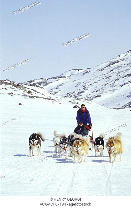 Young couple drive dogsled team across Meta Incognita Penninsula in early May, Baffin Island, Nunavut, Canada