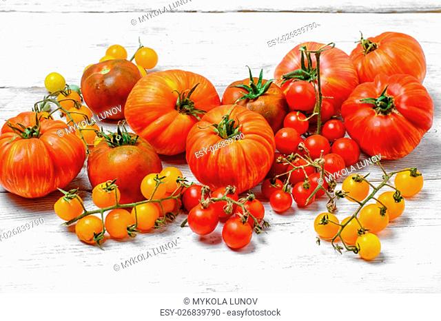 Tomatoes of different varieties plucked from the garden