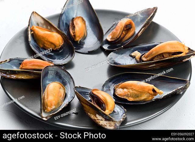 Mussels are a family of bivalve mollusks of great economic and gastronomic interest. Like other bivalves, they are filter feeders that live attached to the...