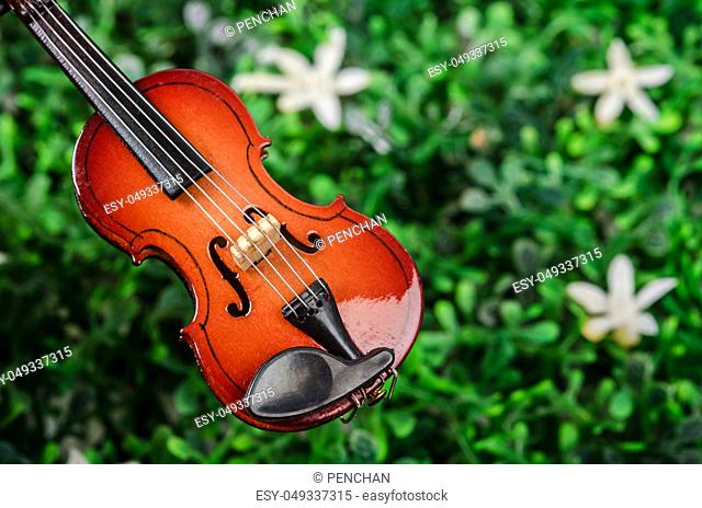 Violin on green grass. Music concept