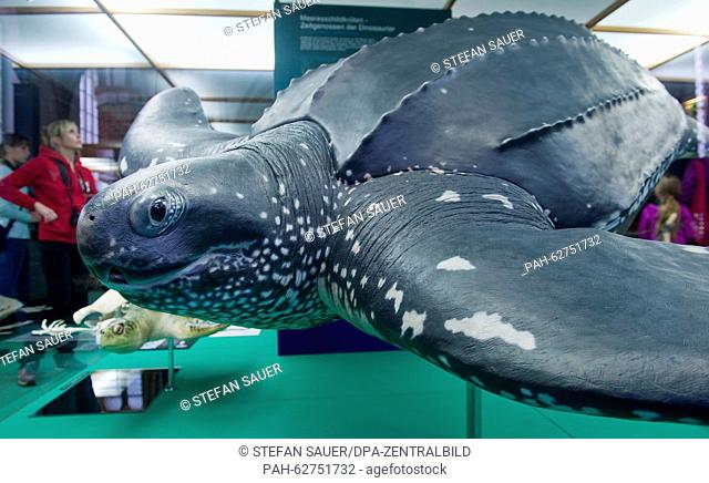 Visitors look at ""Marlene"" the stuffed leatherback turtle at the marine museum in Stralsund, Germany, 20 October 2015. On the same day
