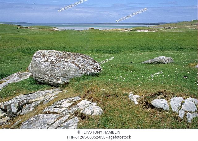 Machair, fertile low-lying raised beach, near Newton, North Uist, Outer Hebrides, Scotland