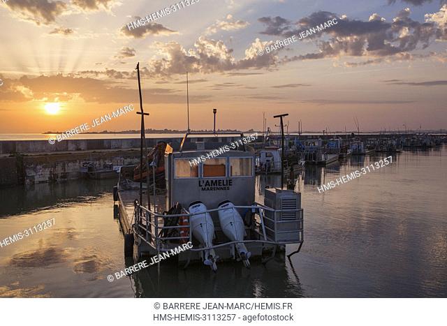 France, Charente Maritime, Bourcefranc le Chapus, between Marennes and the island of Oléron, sunrise over the harbor