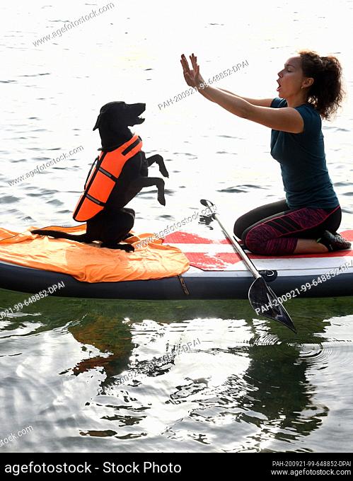 20 September 2020, Saxony, Leipzig: With little sportive exercises for her dog, the Labrador Mix ""Luna"", Conny Schürer uses the beautiful late summer weather...