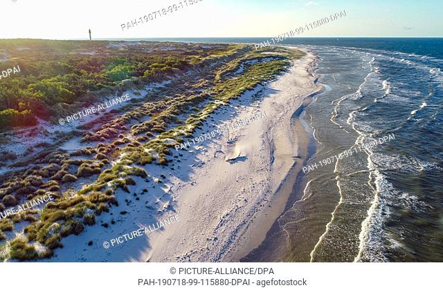 01 July 2019, Denmark, Dueodde: The coast with the wide beach and the adjoining forest at the southeast tip of the Danish Baltic Sea island (aerial view with a...