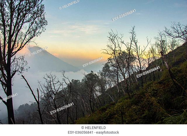 View to silhouette of forest over the clouds in the mountains of Kawah Ijen, Java, Indonesia
