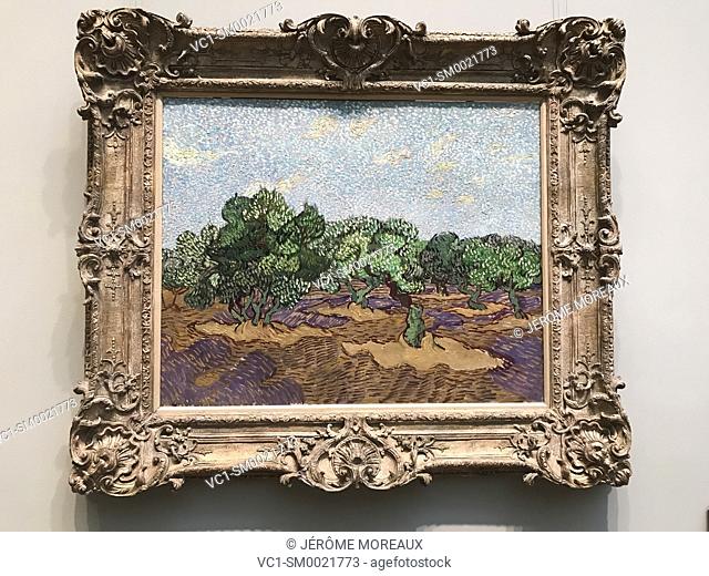 Vincent van Gogh, Olive Trees, 1889, Metropolitan Museum of Art. New York City, USA