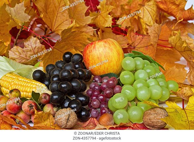 Herbstliches Stilleben mit unterschiedlichen Früchten und Herbstlaub