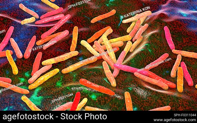 Tuberculosis bacteria. Computer illustration of Mycobacterium tuberculosis bacteria, the Gram-positive rod-shaped bacteria which cause the disease tuberculosis