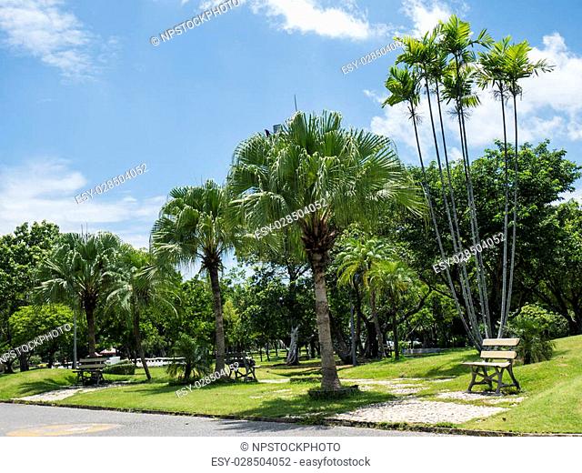 Green park under blue sky at Thailand