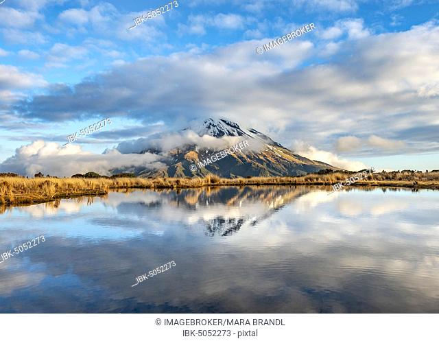Water reflection in Pouakai Tarn, stratovolcano Mount Taranaki or Mount Egmont, Egmont National Park, Taranaki, New Zealand, Oceania