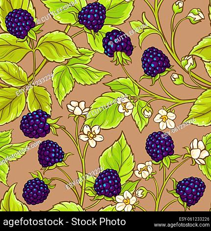 blackberry vector seamless pattern on color background