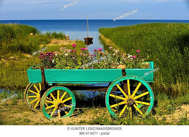 Flower cart in front of Lake Peipsi, Kasepee, Peipsu jaerv, Estonia, Baltic States, Europe