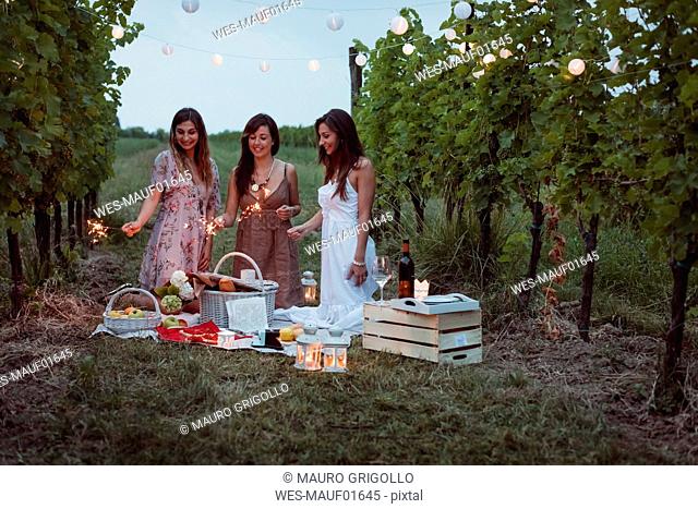 Friends having a picnic in a vinyard, burning sparklers