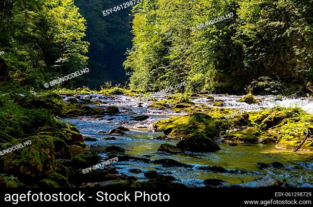 A picture of the Vintgar Gorge, the Radovna Valley river and the surrounding vegetation