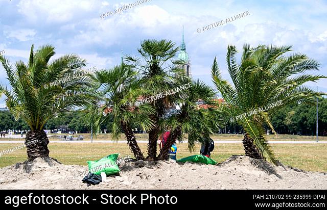 02 July 2021, Bavaria, Munich: Palm trees and sand can be seen on the Theresienwiese. In the background you can see the church St.Paul