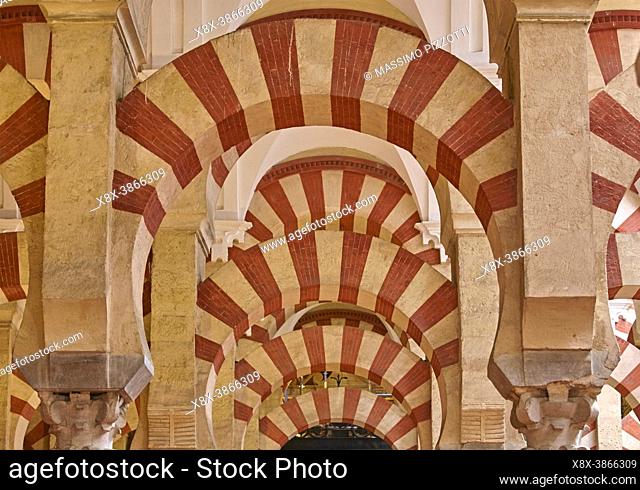 The columns and arches of the Mosqueâ. “Cathedral of Córdoba, Andalusia, Spain
