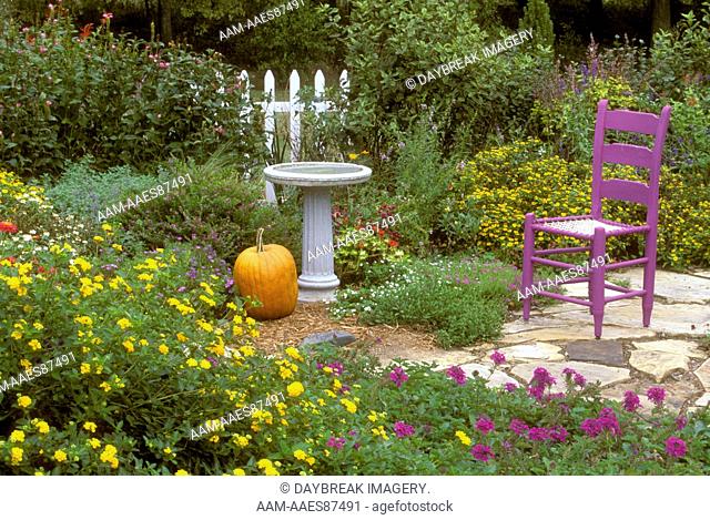 Fall Garden Display - Purple chair, pumpkin, bird bath & fence in flower bed Marion Co. IL