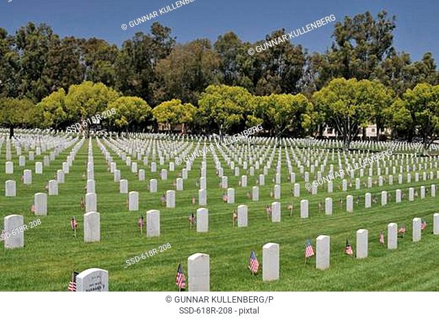 American flags placed at each individual plot in a cemetery, Los Angeles National Cemetery, Los Angeles, California, USA