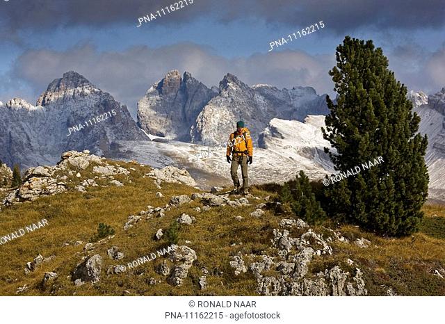 Climbing in the Dolomites near the Grodener and Selva Passes, Wolkenstein. Alto Adige, Italia