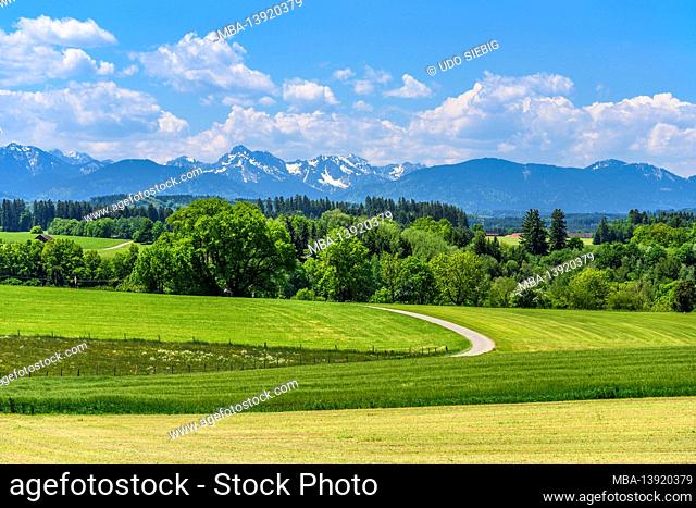 Germany, Bavaria, Upper Bavaria, Pfaffenwinkel, Huglfing, spring landscape against Ammer Mountains, view from the Stein-Erlebnisweg