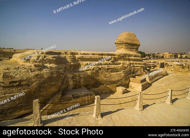 Lateral view of The Sphinx. Pyramids of Giza complex. Cairo, Egypt, Africa, Middle East